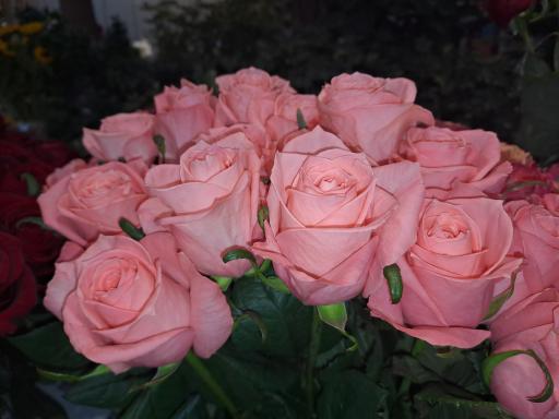 عکس گل فروشی کلاسیک