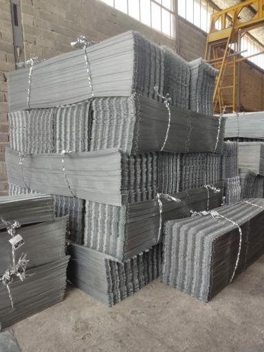 عکس رابیتس لوتوس