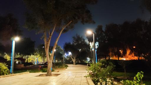 عکس پارک هنگام