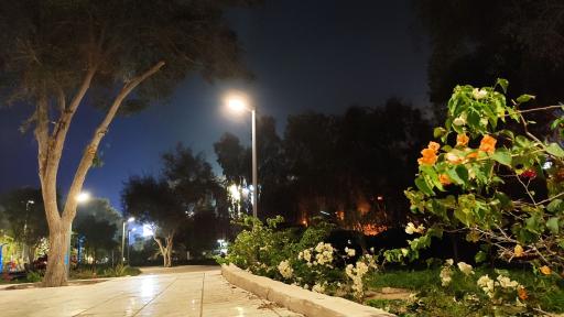 عکس پارک هنگام