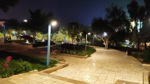 عکس پارک هنگام