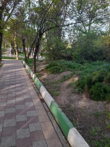 عکس پارک کودک