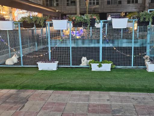 عکس بیمارستان دامپزشکی گئوش