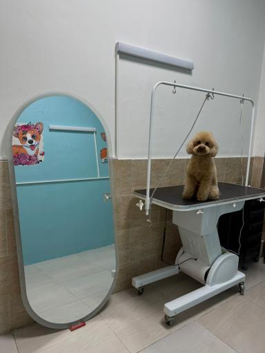 عکس بیمارستان دامپزشکی گئوش