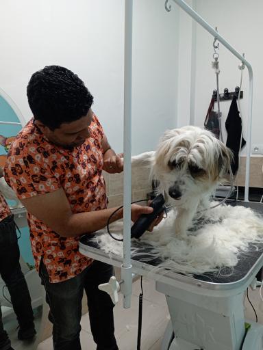 عکس بیمارستان دامپزشکی گئوش