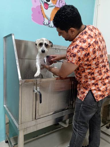 عکس بیمارستان دامپزشکی گئوش