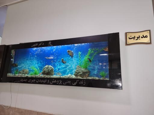 عکس مدرسه دخترانه دکتر فقیهی ( سجاد ۲ )