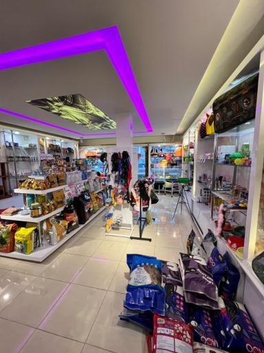 فروشگاه ملزومات حیوانات خانگی استد پت 