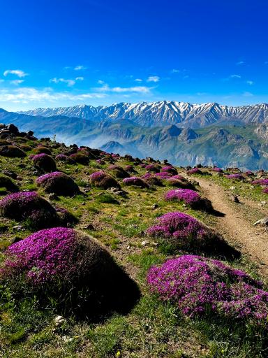 عکس کوه دماوند (بام ایران)