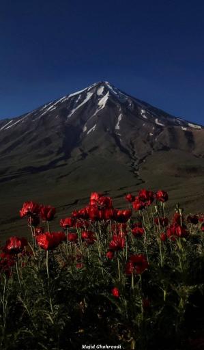 عکس کوه دماوند (بام ایران)