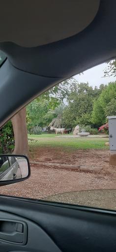 عکس پارک هنگام