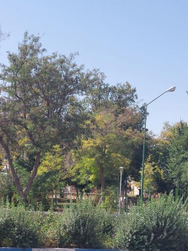 عکس پارک کودک