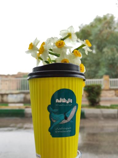 عکس وال کافه
