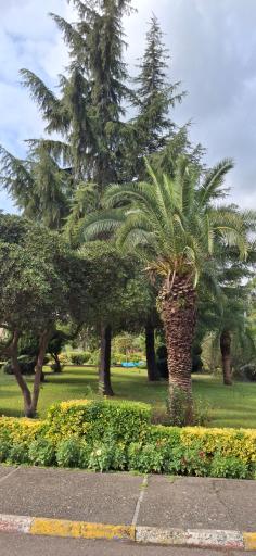 عکس مجتمع رفاهی صداوسیما زیباکنار