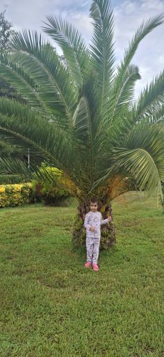 عکس مجتمع رفاهی صداوسیما زیباکنار