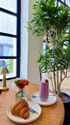 عکس عاج سیاه