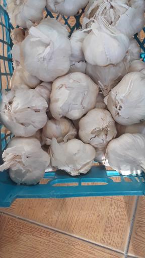 میوه فروشی برکت 
