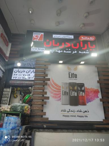 یاران دریان فرشته
