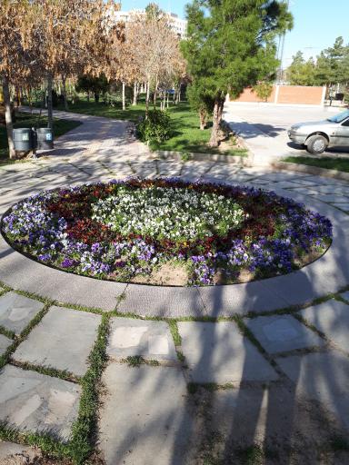 عکس چشمه کساره