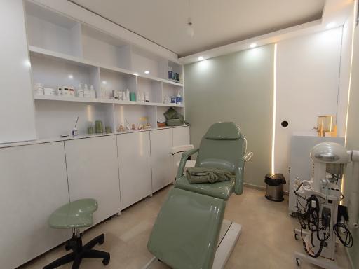 عکس دکتر شاندیز دانشمند