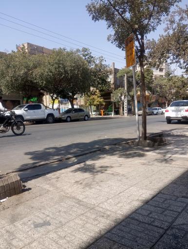 عکس  علامه طباطبائی 20