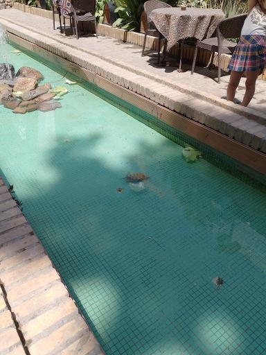 عکس رستوران عمارت