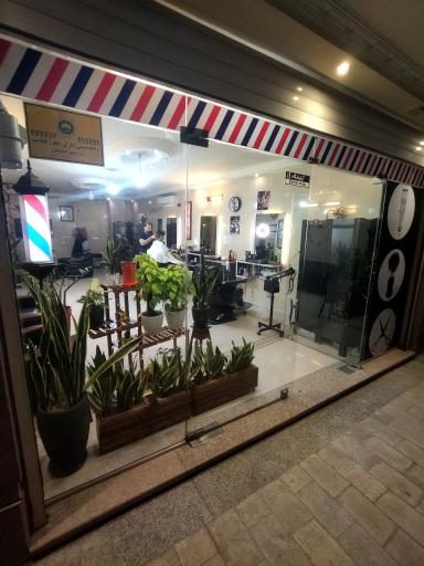 عکس پیرایش مسعود