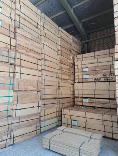 عکس جک و قالب مردانی (آرتا صنعت)