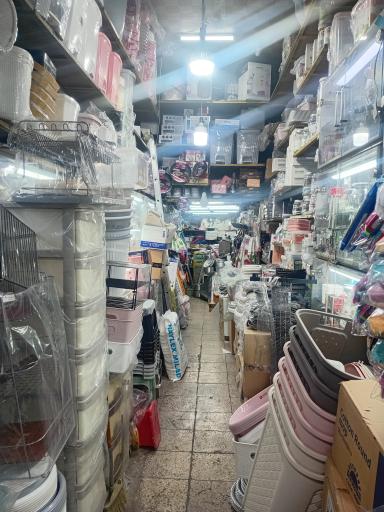 عکس پلاسکو منتظری