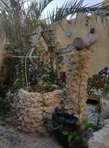 عکس تک بادگیر کیش