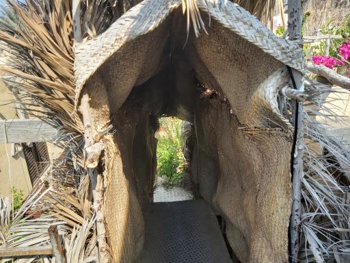 عکس تک بادگیر کیش