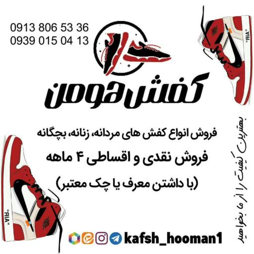 عکس کفش هومن