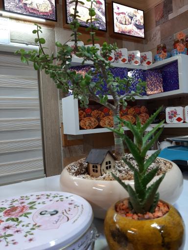 عکس سوهان علی