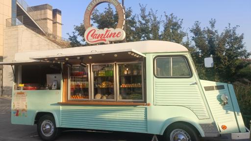 عکس دی‌ یو مزه (dew mazeh)