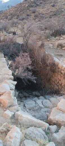 عکس کوهنجان