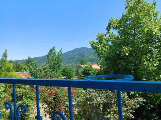 عکس بام سبز ماکلوان