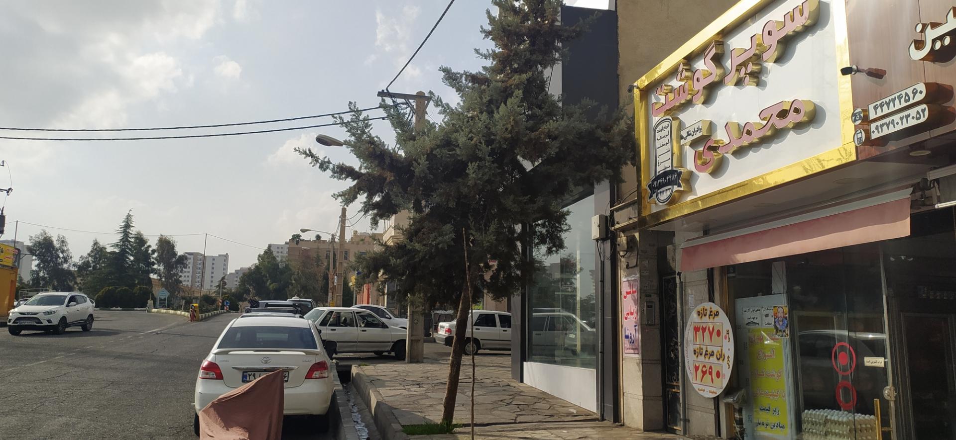 عکس قصابی محمدی