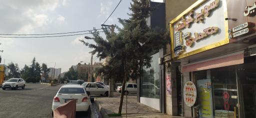 عکس قصابی محمدی