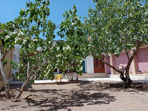 عکس مدرسه هنری فرفره