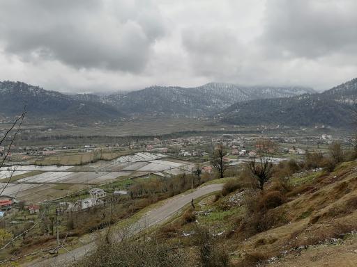 عکس بام سبز ماکلوان