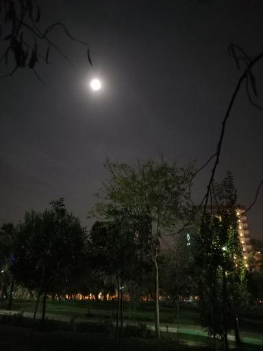 عکس پارک حکیم نظامی