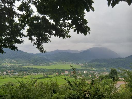 عکس بام سبز ماکلوان