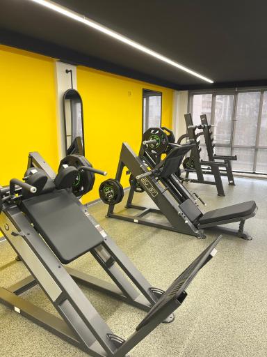 عکس باشگاه رام تن