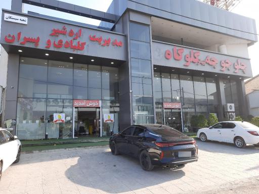 عکس چلو جوجه برادران کلبادی اردشیر و پسران