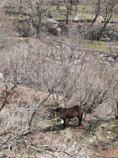 عکس کن سولوقون (سولقان و کن)