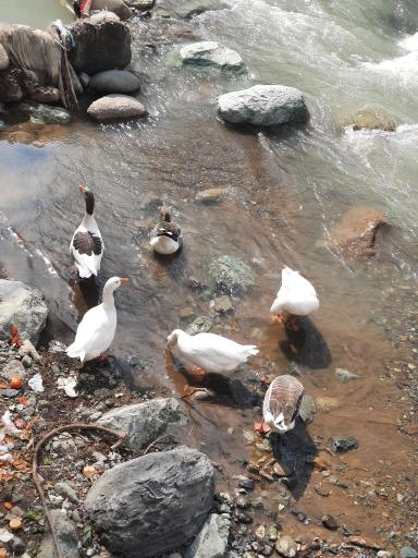 عکس کن سولوقون (سولقان و کن)