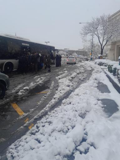 عکس  میدان شهدای مسجد گوهرشاد