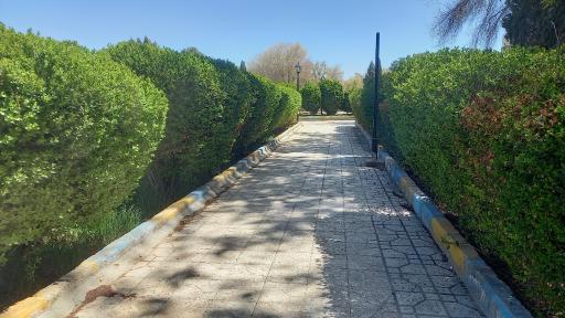 عکس پارک شهر
