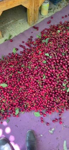 عکس کن سولوقون (سولقان و کن)