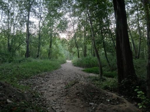 عکس رودخانه سفیدرود